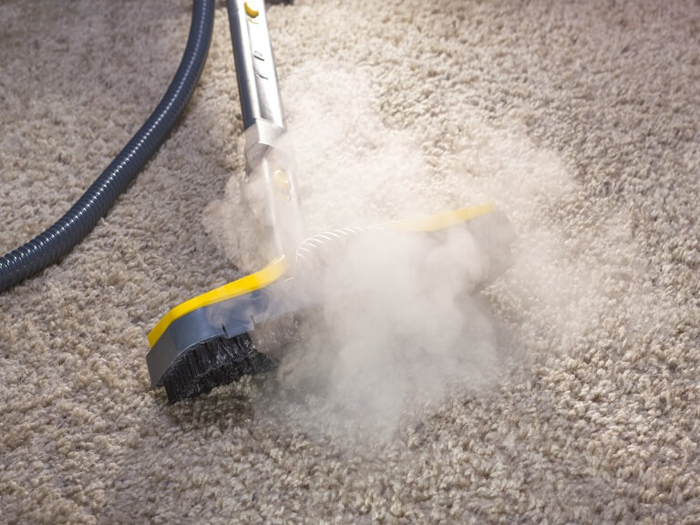 steamaid carpet cleaning service