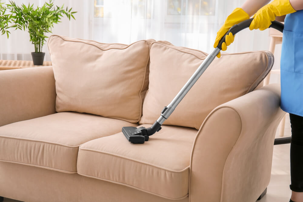 steamaid upholstery cleaning service