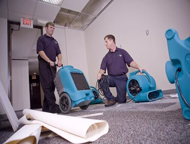 steamaid Wet carpet drying